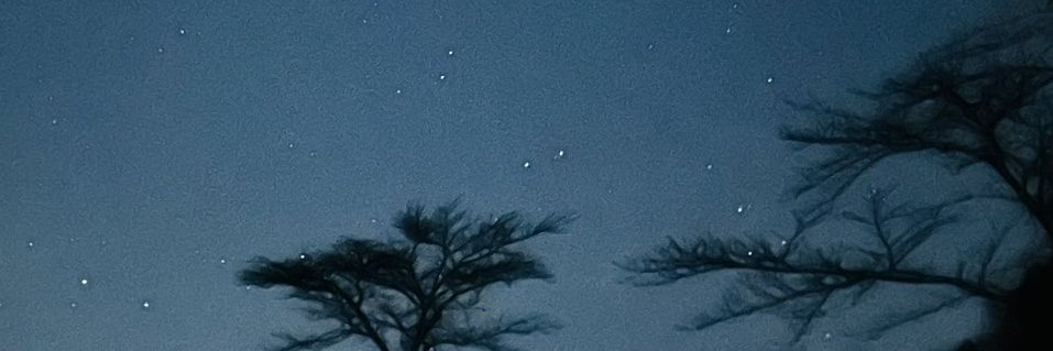 higuretea's profile banner image