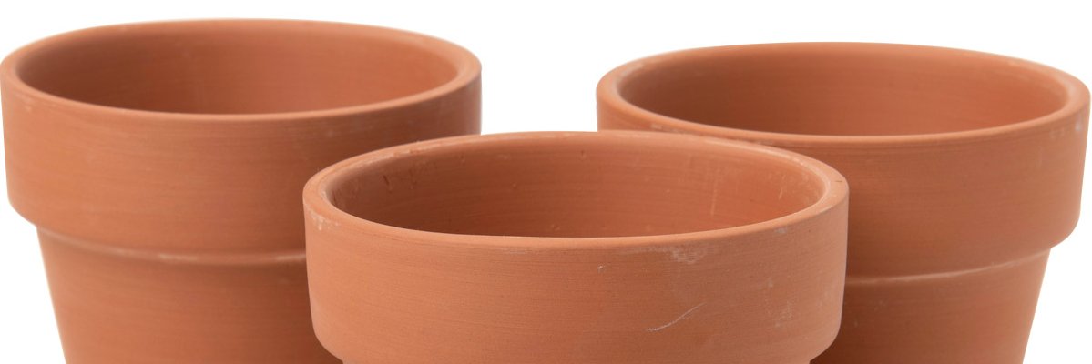 LewdFlowerPot's profile banner image