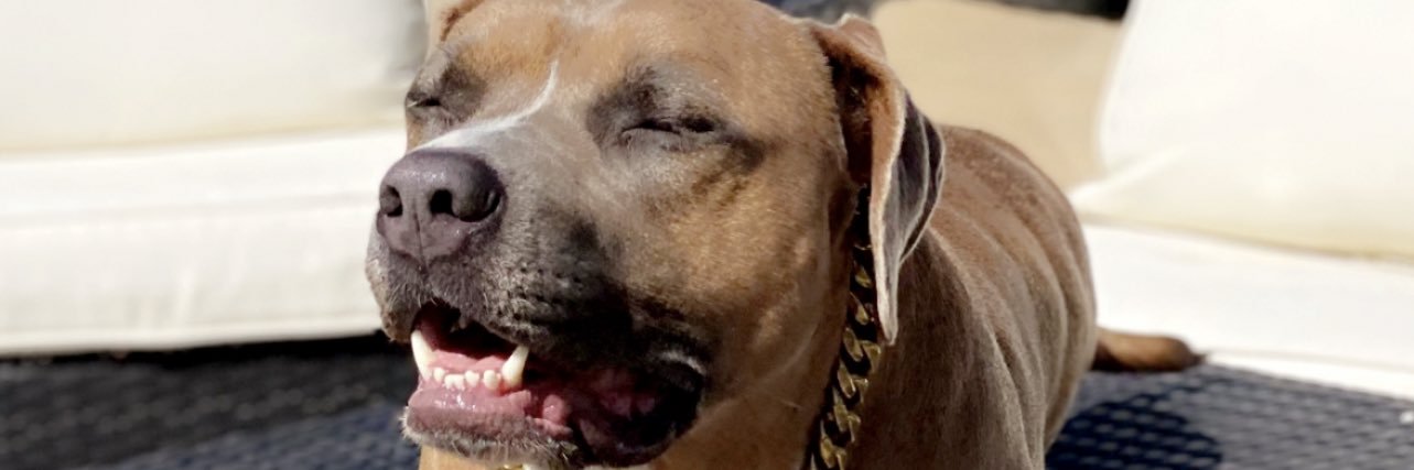 BigPlayLJ's profile banner image