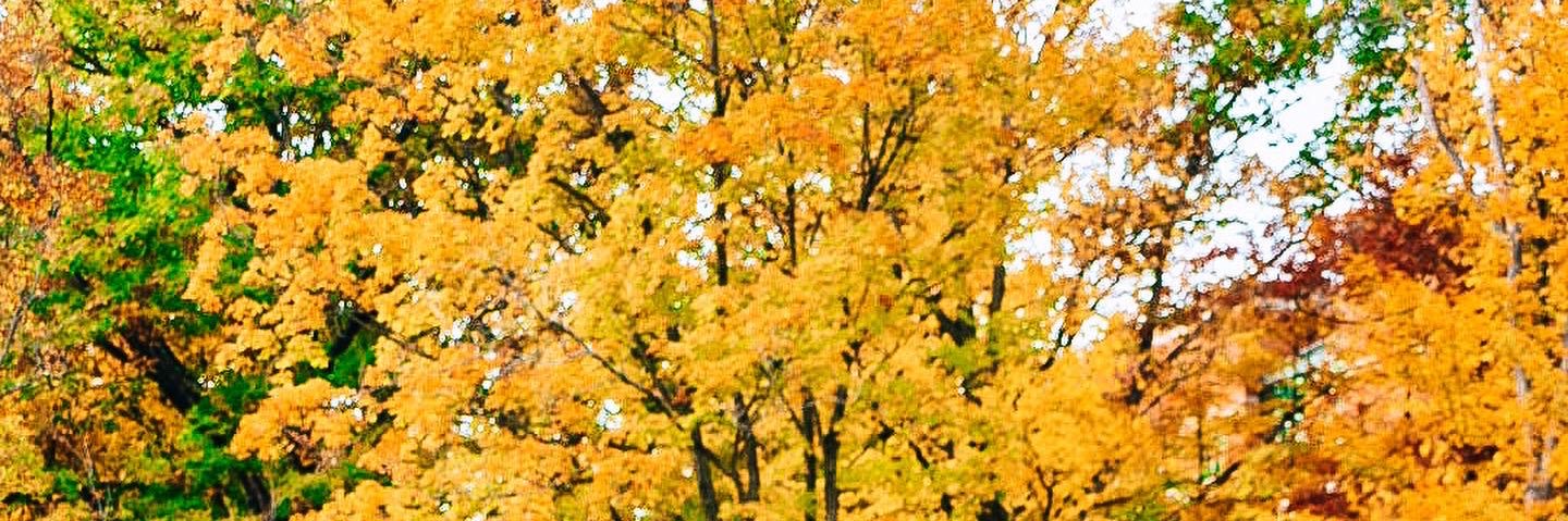 cameronkatkic's profile banner image
