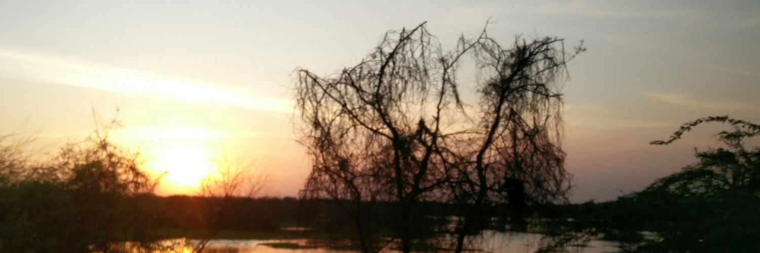 sankarjag's profile banner image