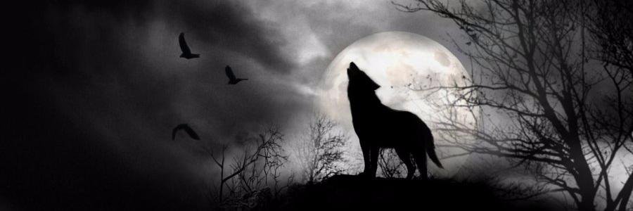 Dark_Shadow0007's profile banner image