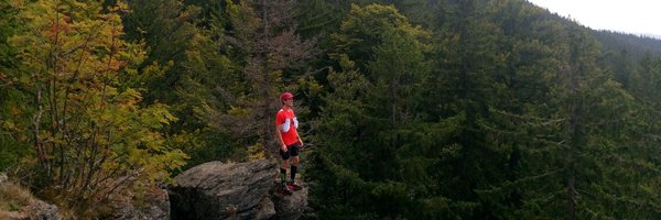alfrep28 Profile Banner