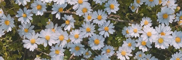mariavrosillo's profile banner image