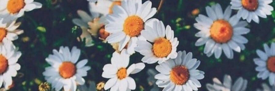 amyliza95's profile banner image