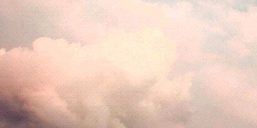Cecile banner