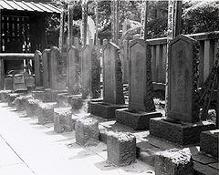 TM2000Ronin's profile banner image