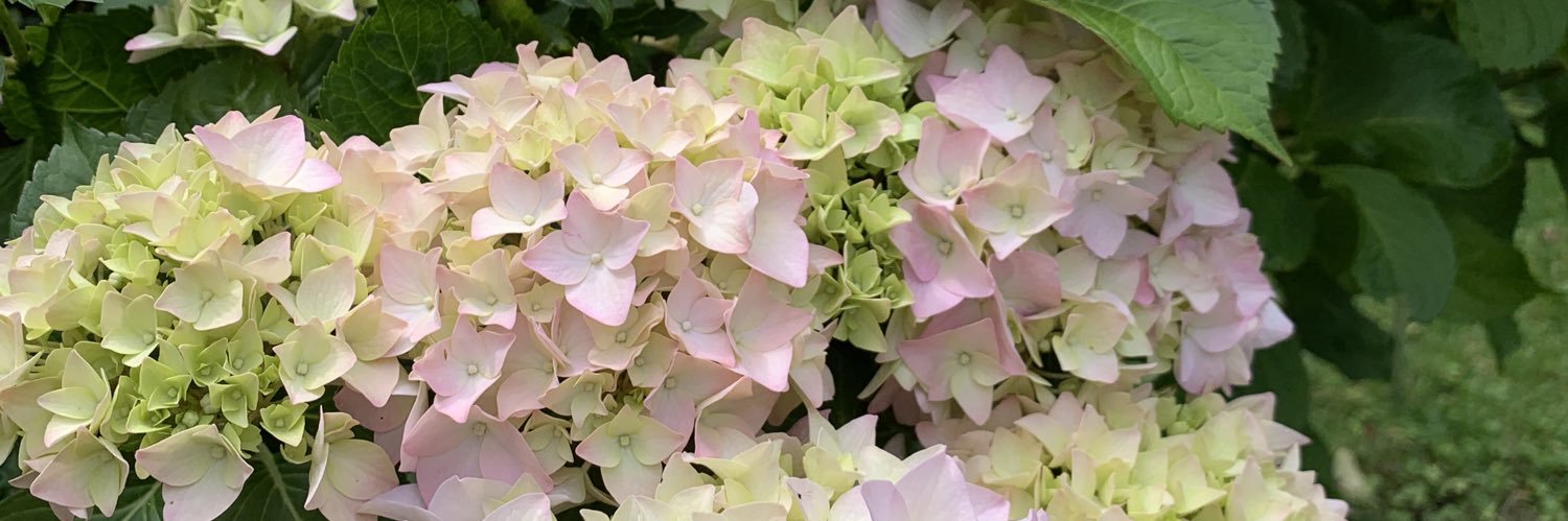 GTrinkner's profile banner image