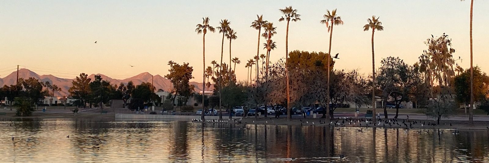 Leslie W. Thompson, III banner