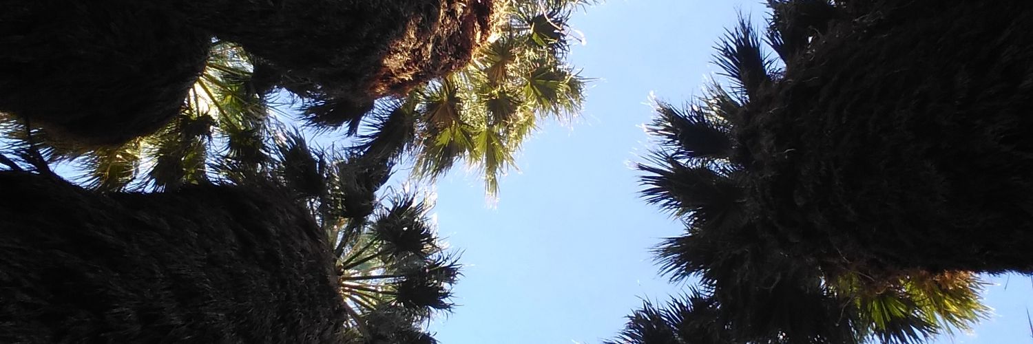 spekopsh's profile banner image
