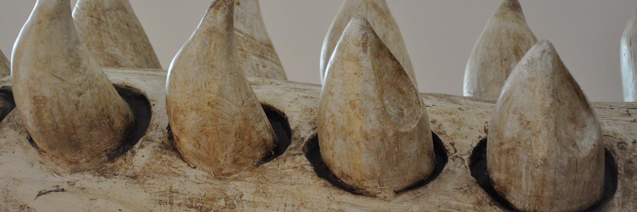 Bram Langeveld banner