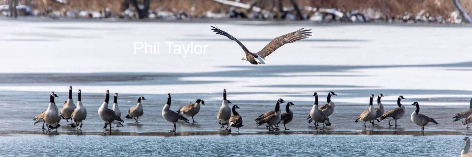 ptaylorphoto's profile banner image