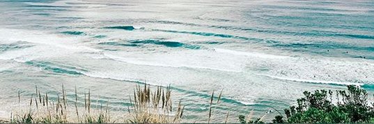 Magali banner