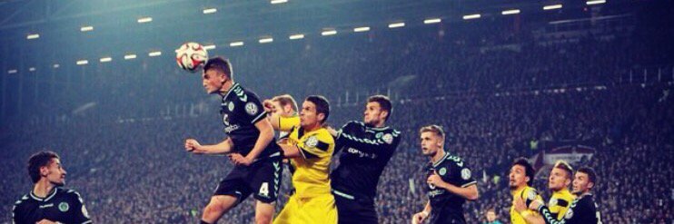 PZiereis's profile banner image