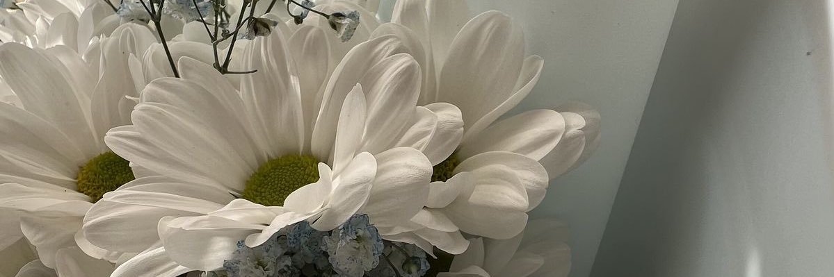ansmrssa's profile banner image