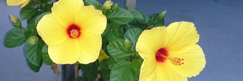 dtsy0187's profile banner image