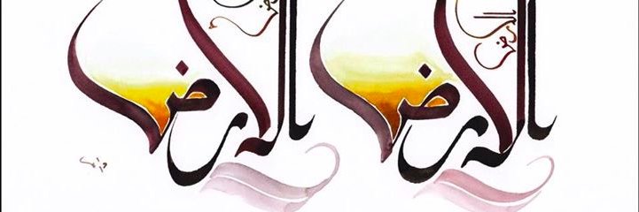 Taoufiq TAHANI's banner