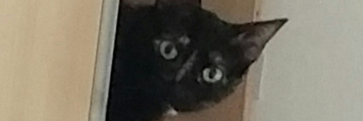 manxufla's profile banner image