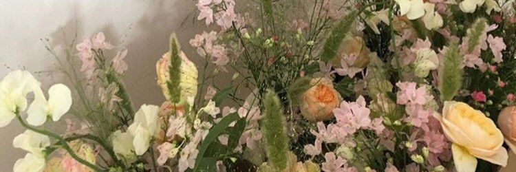 SierraDesney's profile banner image