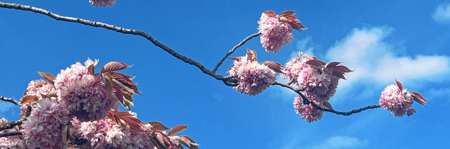 Beach is best banner