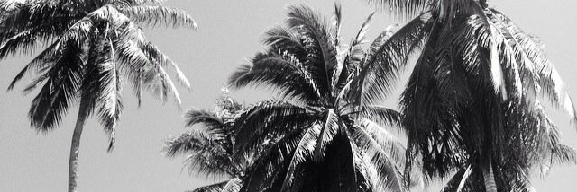 elmelling's profile banner image