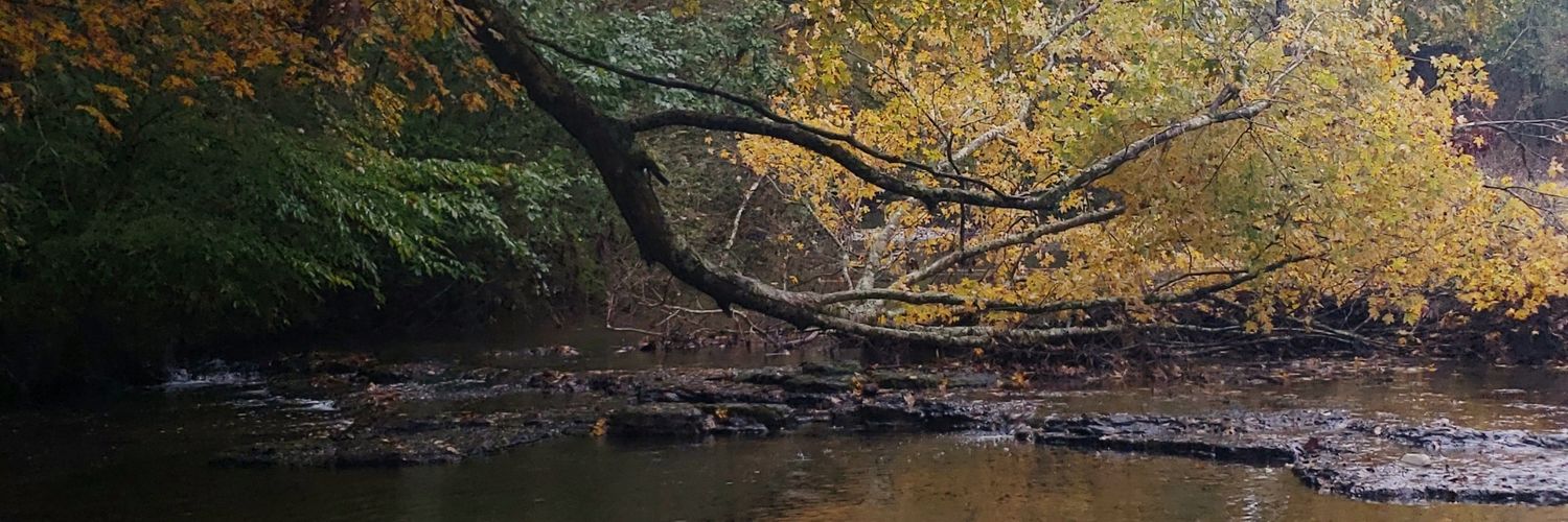 AprilVaden's profile banner image