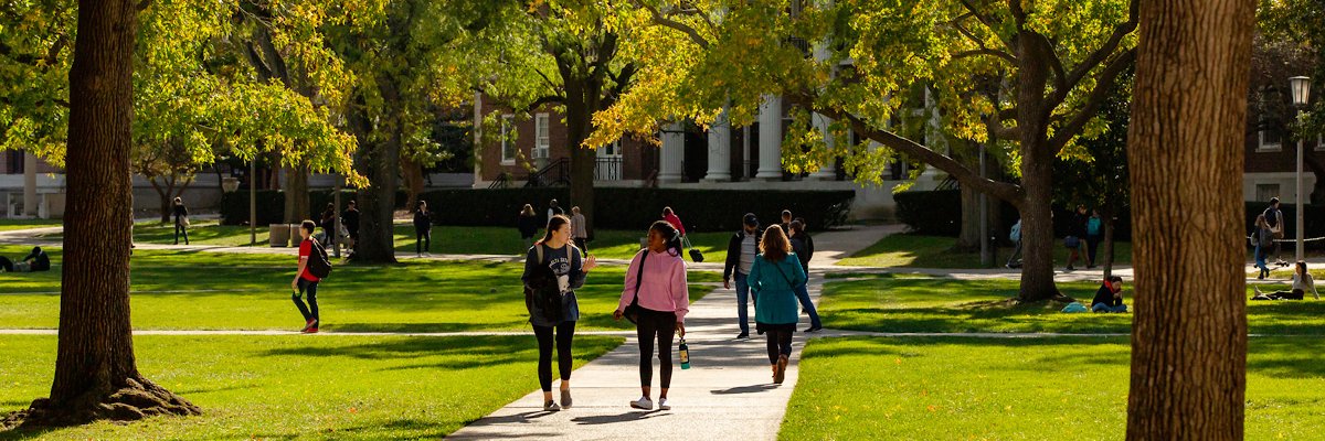 Grad College Illinois banner