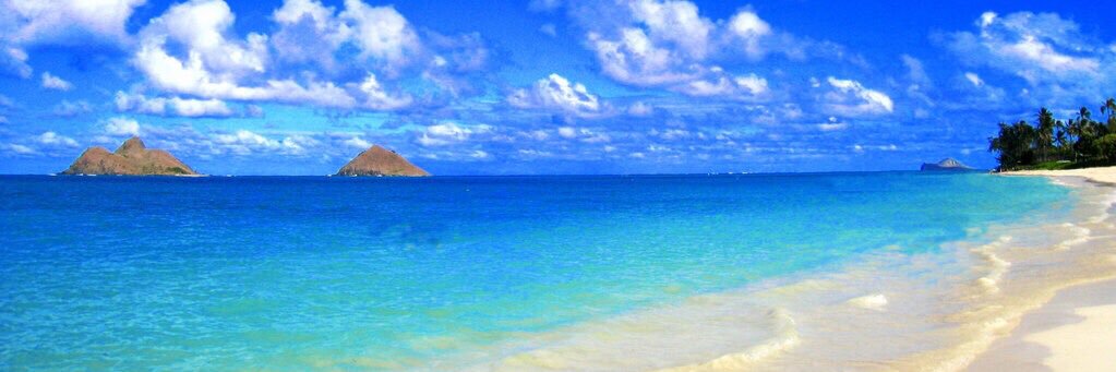 charo_waka's profile banner image