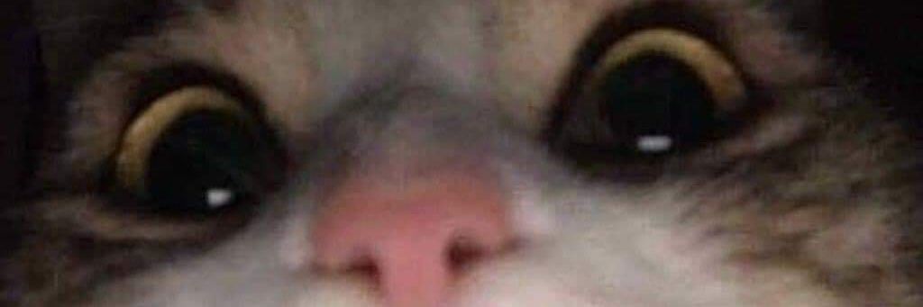 Trshnpmcn's profile banner image