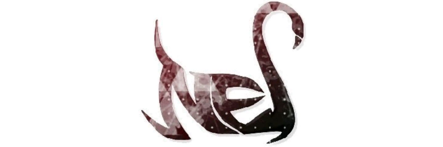 NESnail's profile banner image