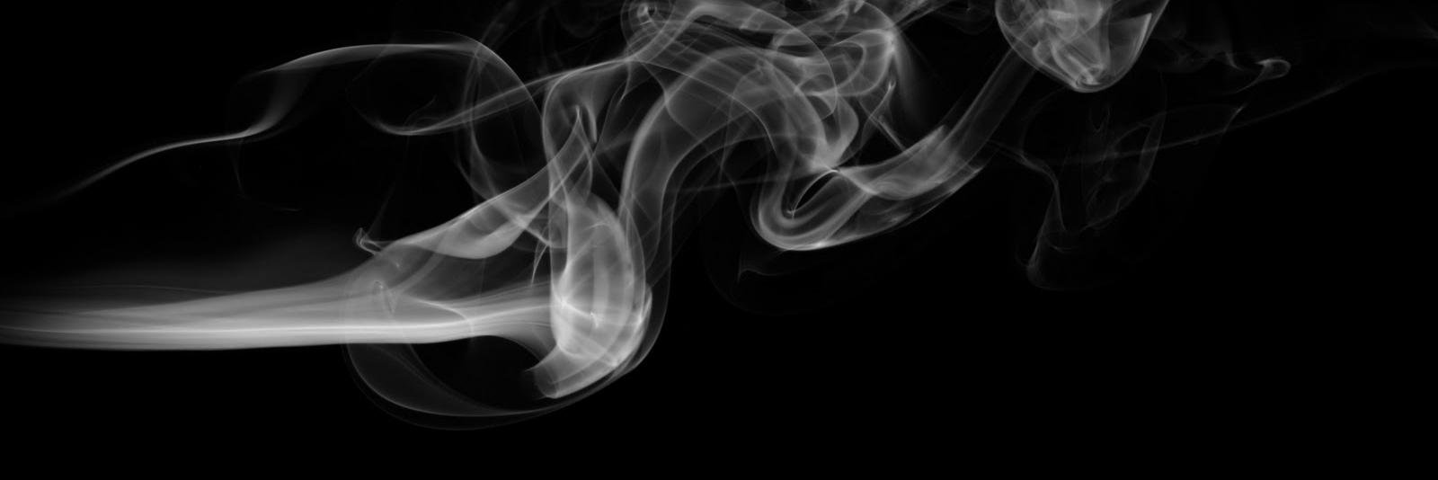 Dani_P96's profile banner image