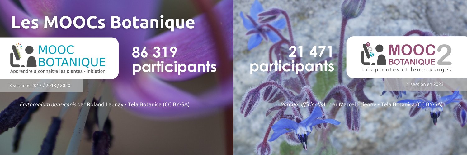 MOOC TelaFormation banner