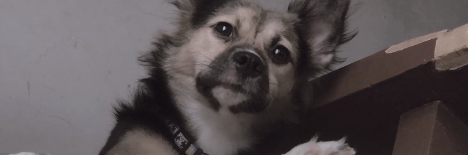 midimieoj's profile banner image