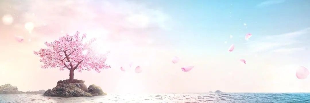 sirycuca's profile banner image