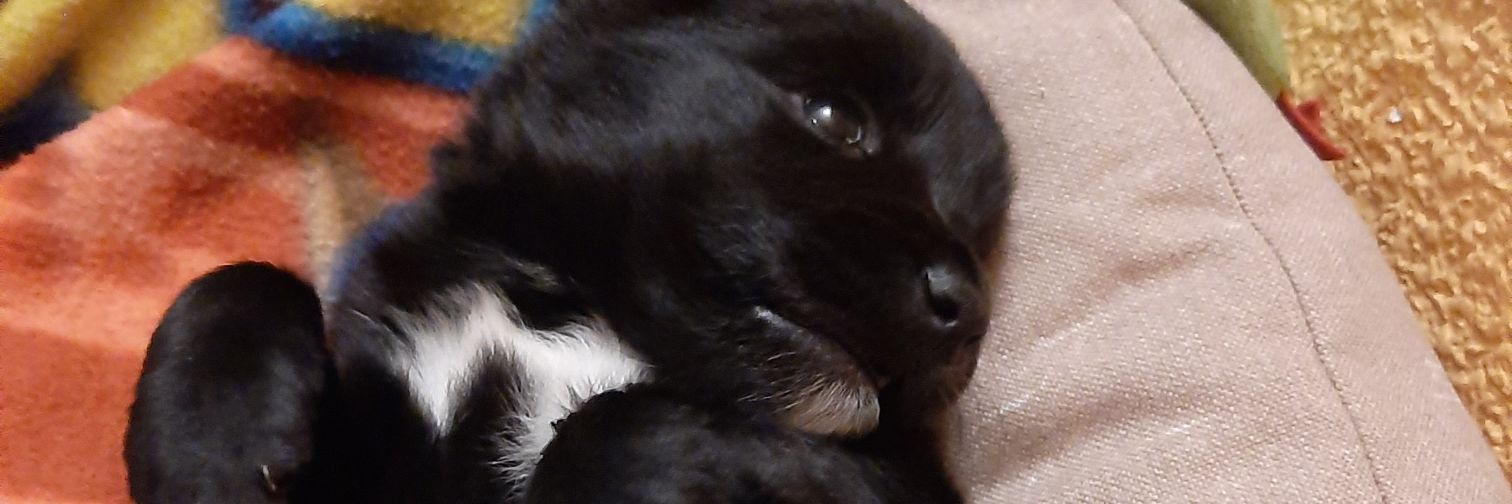 LaraSnchez2's profile banner image