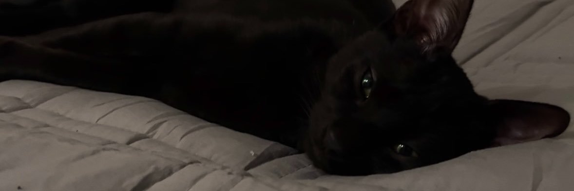 VickyOttaviano's profile banner image