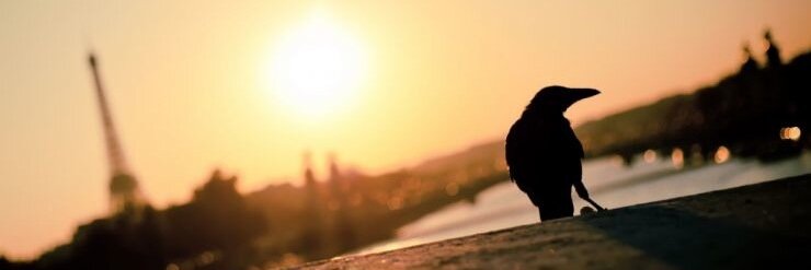 hughui's profile banner image