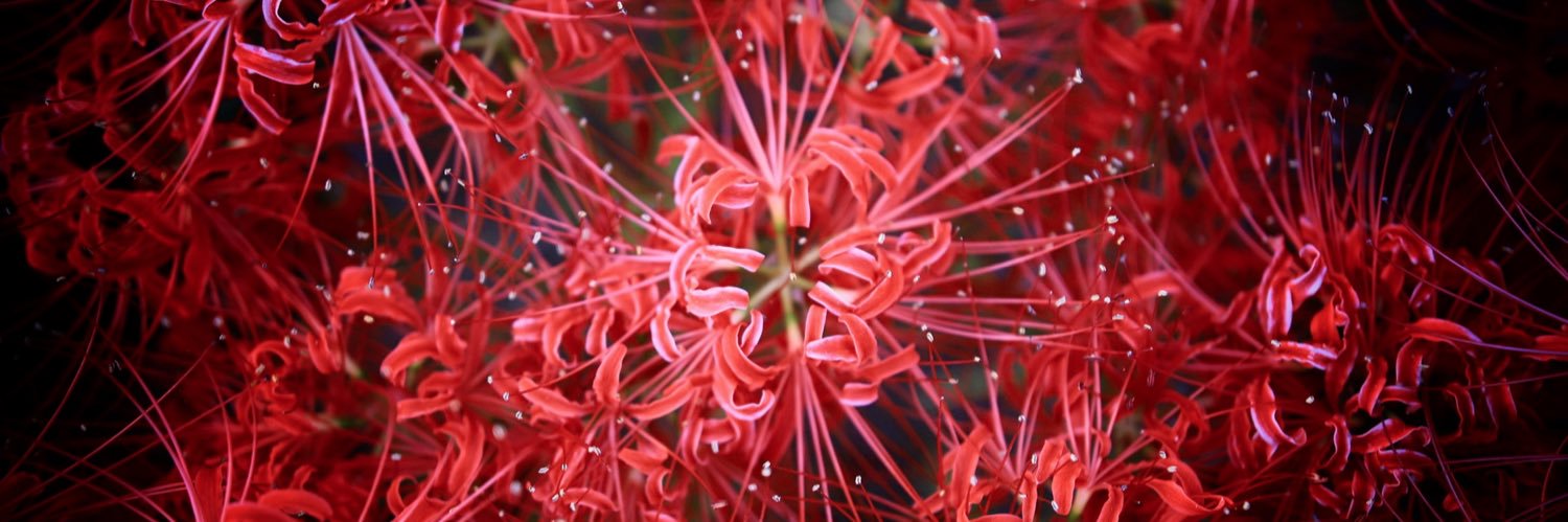 mitsuaki52411's profile banner image