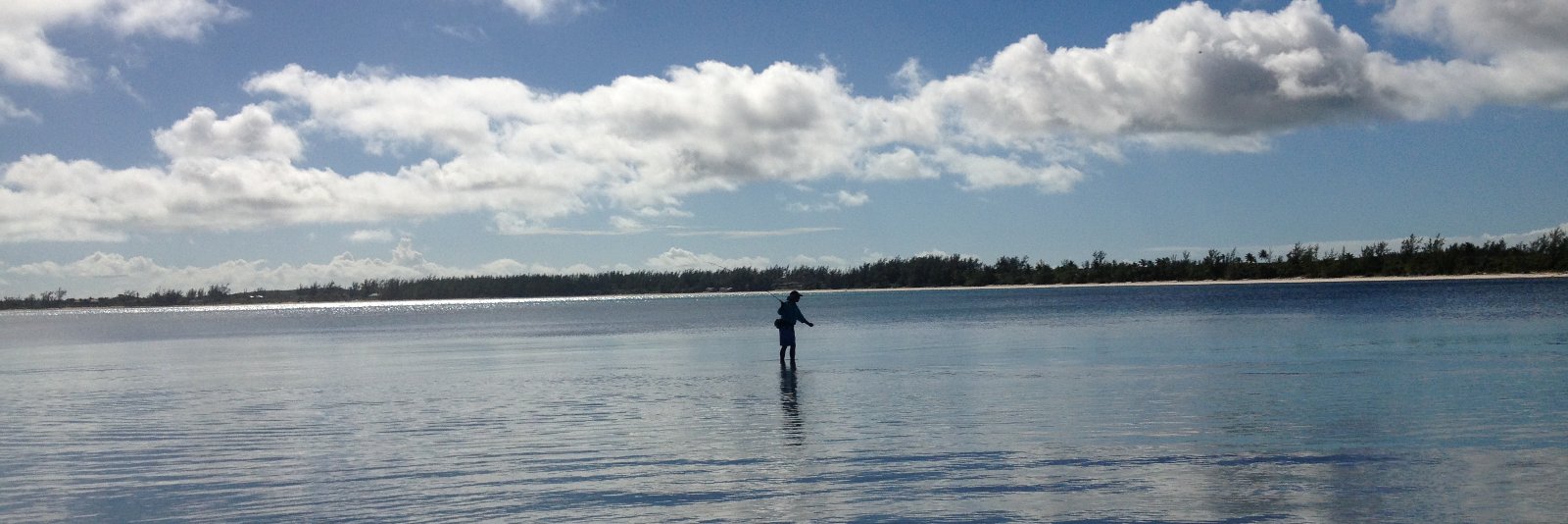 Steve Carpenter banner