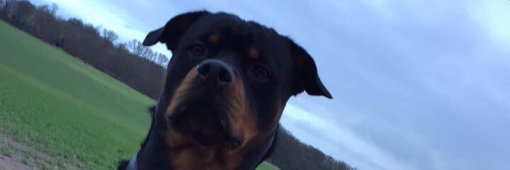 richard whyman banner