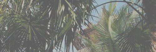 Bryce_Banks15's profile banner image