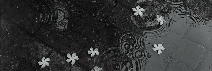 eypect's profile banner image