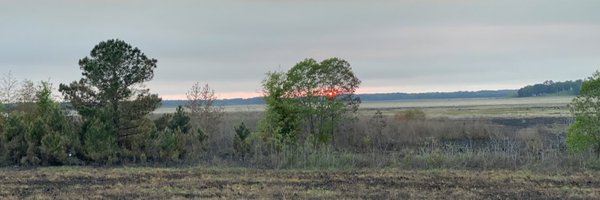 HalseyBeshears Profile Banner