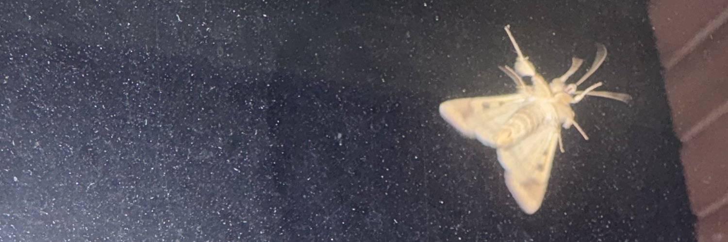 cinnamon_app1e's profile banner image