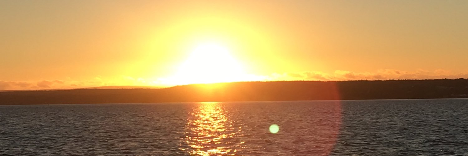 mjbrown49's profile banner image