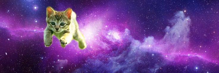 nekokacho_'s profile banner image