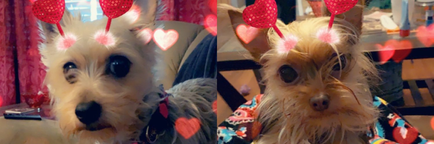 KrisKeho's profile banner image