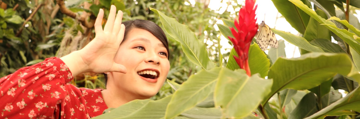 naocroscope's profile banner image