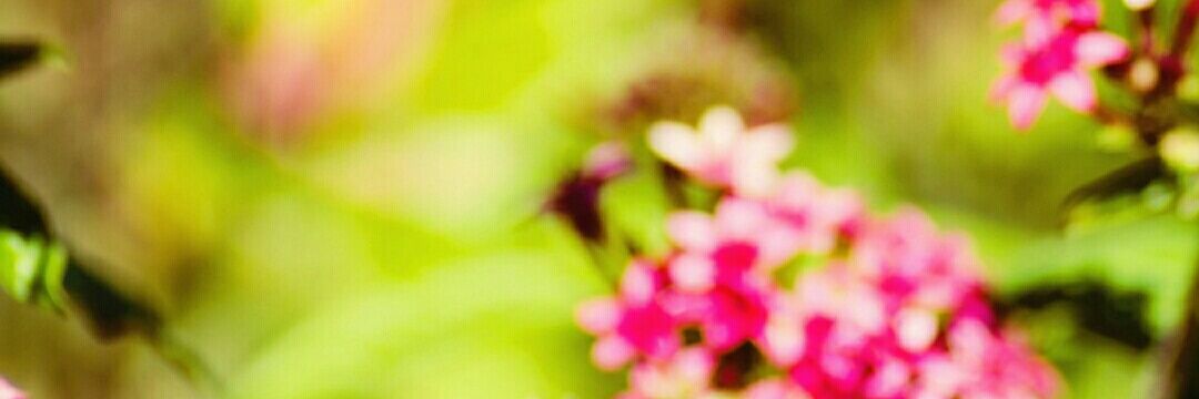 rawan_baomar's profile banner image