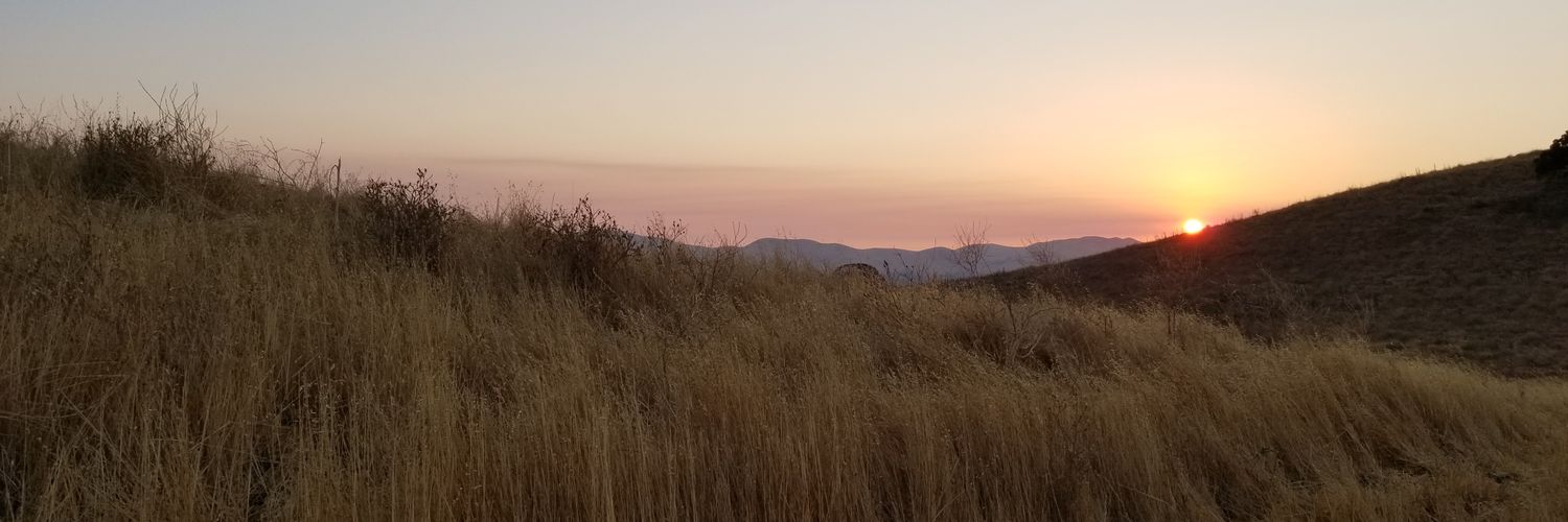 Tami Swenson banner